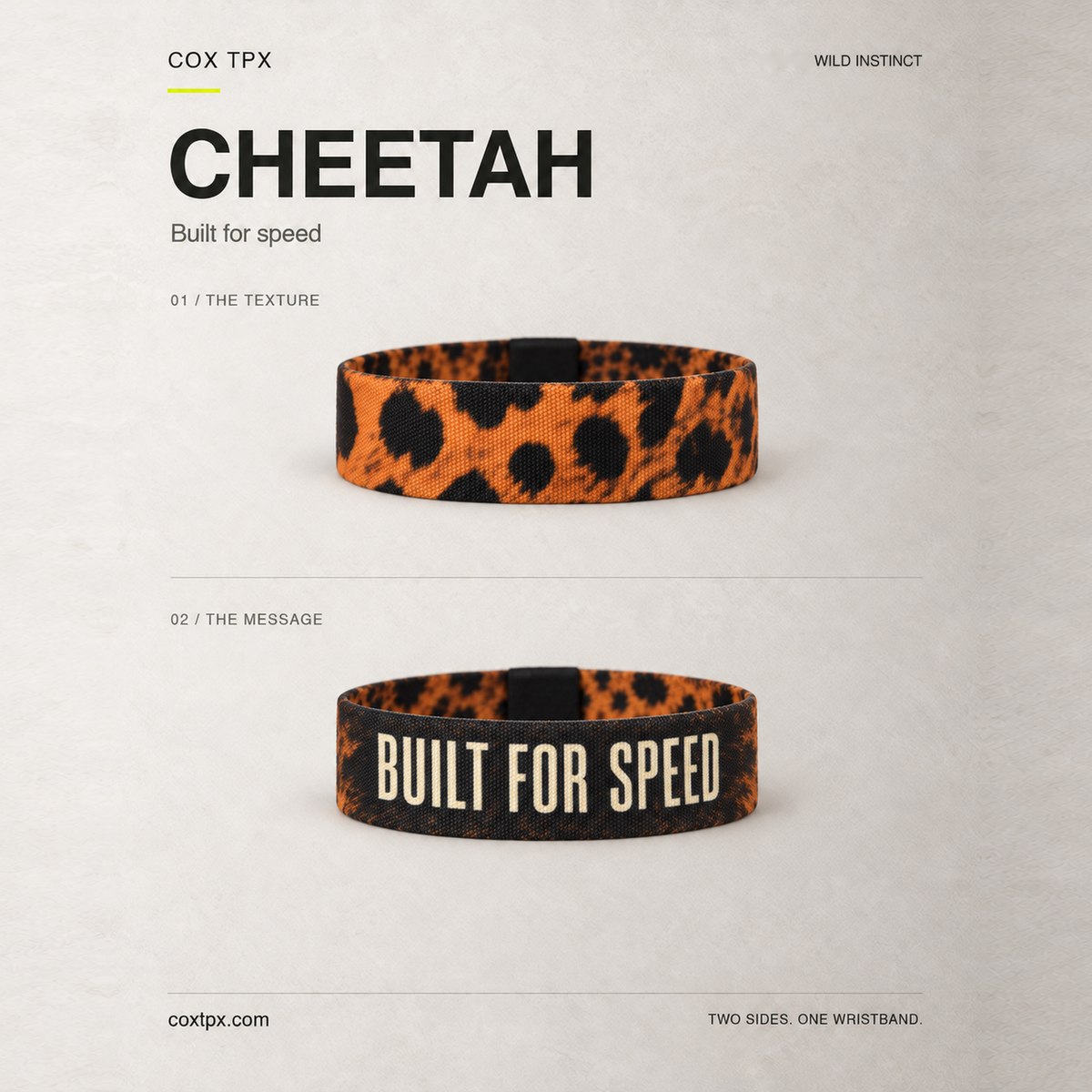 Cheetah