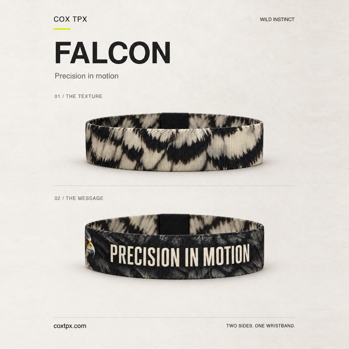 Falcon